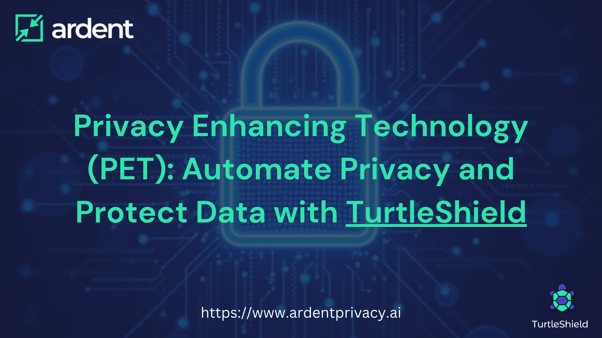 Privacy Enhancing Technology (PET): Automate Privacy and Protect Data with TurtleShield